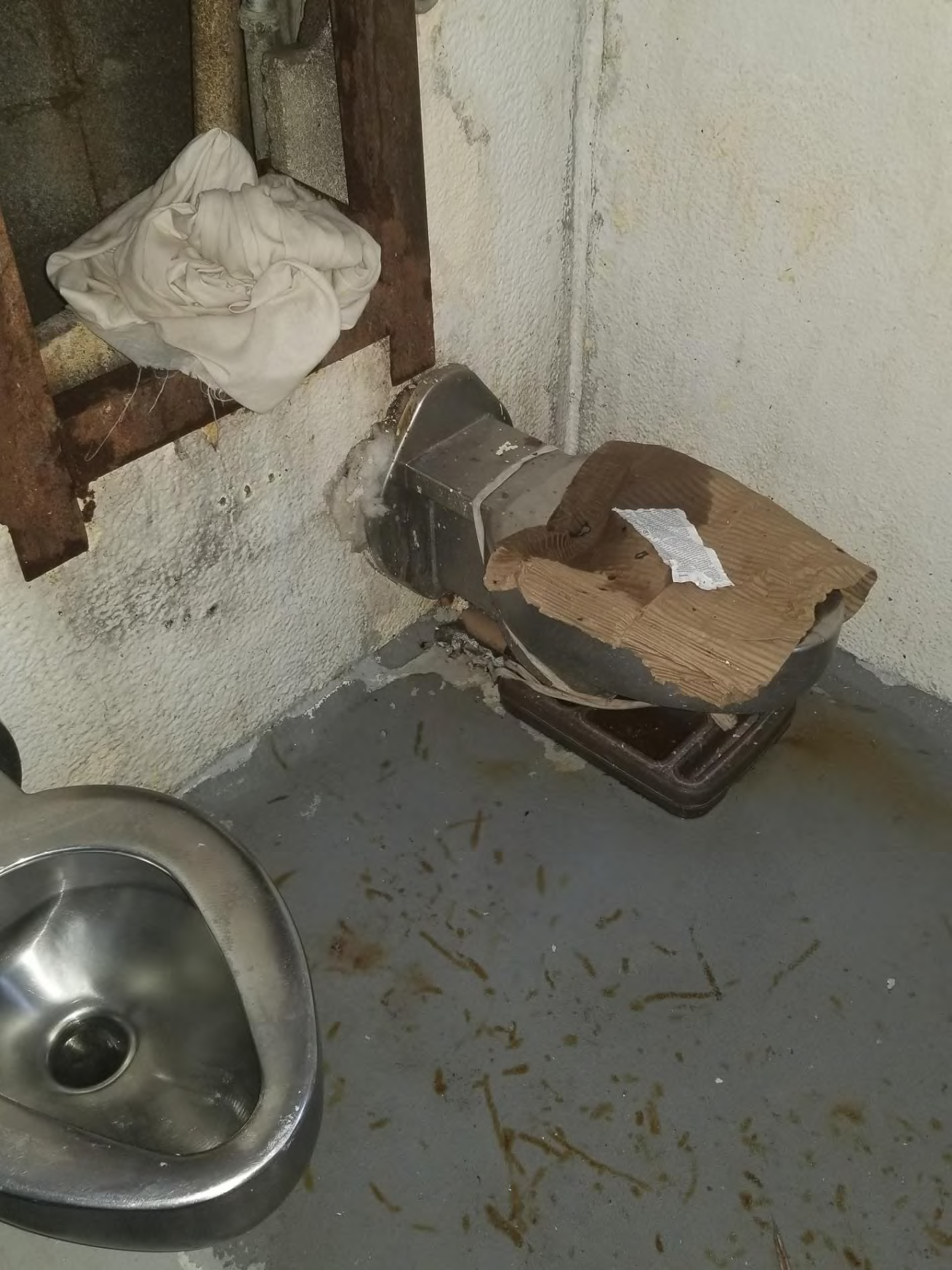 Inoperable toilet and exposed pipe chase at MSP Parchman (Photo Source: Mississippi State Department of Health).