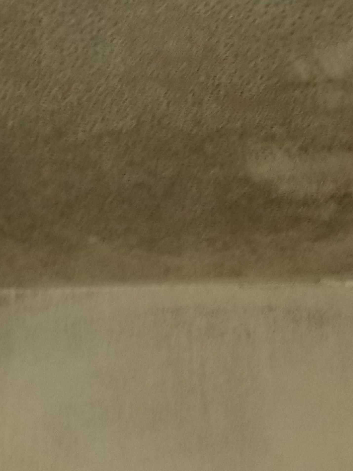 Mildew on ceiling at MSP Parchman (Photo Source: Mississippi State Department of Health).